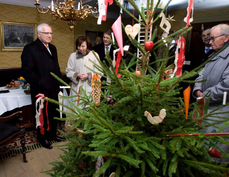 danish tree